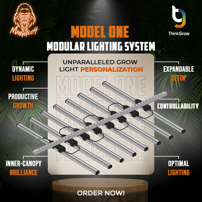 Grow Smarter, Not Harder: The Benefits of Modular Lighting Systems