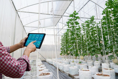 Harnessing Technology for Efficient Crop Cultivation: A Deep Dive into Modern Tools